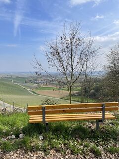 image00023