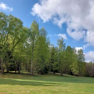 Eigenzeller Heide