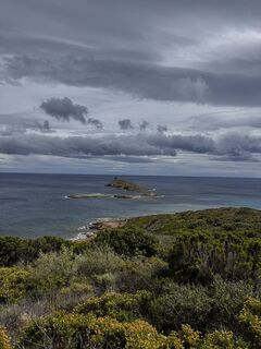 Foto de noddy suter a lo largo del recorrido