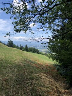 Kuva osoitteesta Reinhard Frewein matkan varrella