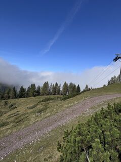 Foto von Funky entlang der Tour
