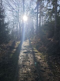 Foto von Björn Heun entlang der Tour