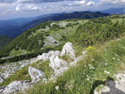 Photo de Peter Traxler 1 le long du parcours