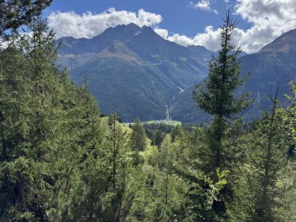 Foto von Jasper entlang der Tour