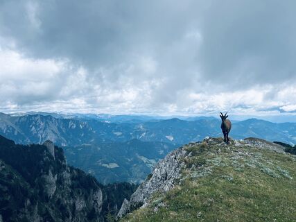 Kammern im Liesingtal, Steiermark/Österreich