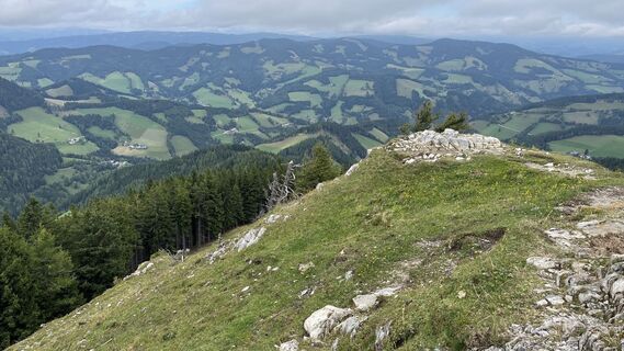 Foto von Mandi_3000 entlang der Tour