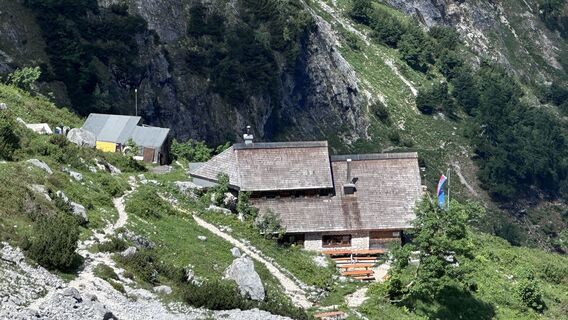 Foto von Mountain Cat ? ⛰️ entlang der Tour