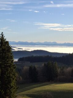 Zdjęcie z Josef Klinger wzdłuż trasy