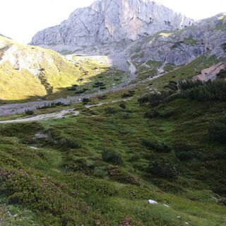 Fotografija s spletne strani Andrè Fritsch na poti