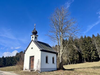 Foto da Peter Steyrer lungo il tour