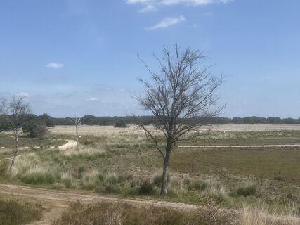 Foto von Babita entlang der Tour