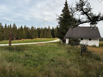 Foto von Robert.Unterlercher entlang der Tour