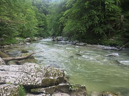 Foto von Altmann Andreas entlang der Tour