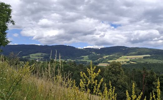 Foto von zirberl entlang der Tour