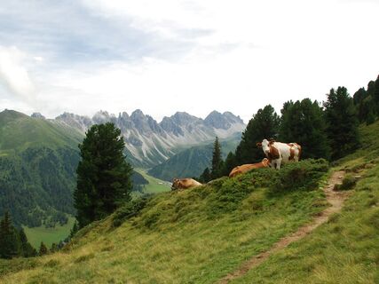 DSC_5676 - Richtung Salfeins.JPG