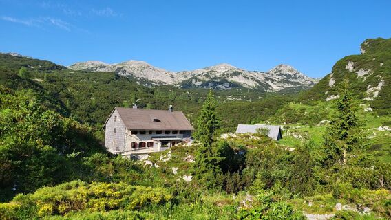 Fotografija s spletne strani Igor napast na poti
