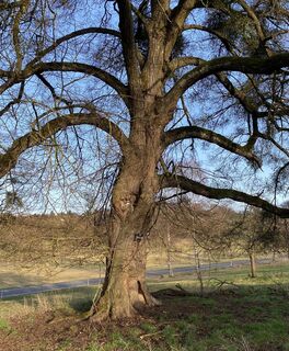 Fotografia z Rupert Hoeppe na trase