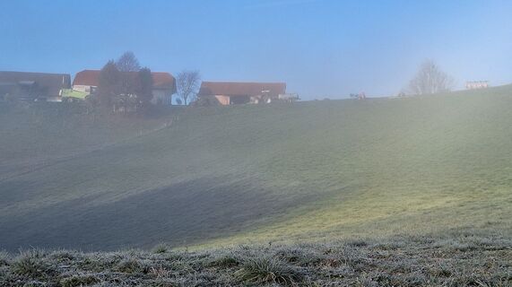 Photo from Karl Kriegseisen along the tour