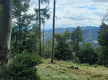 Foto de Tímea Čániová a lo largo del recorrido