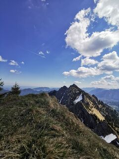 Foto von Steinbock entlang der Tour