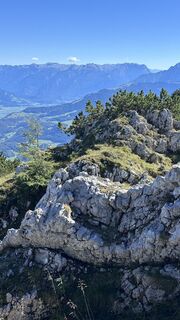 Foto von Mountain Cat ? ⛰️ entlang der Tour