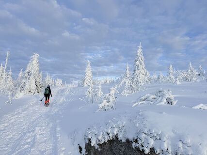 Foto von Natur_erleben_dg entlang der Tour