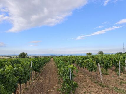 Fotografia z holzmartin93 na trase