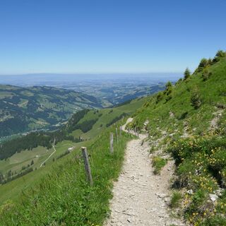Weg vor Kaisereggpass - Gipfelwanderung Kaiseregg