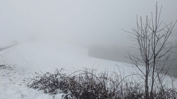 Foto von Moni M entlang der Tour