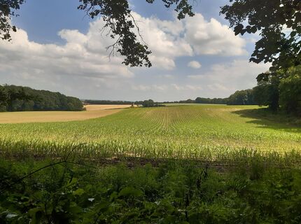 Fotografia z Peter spierenburg na trase