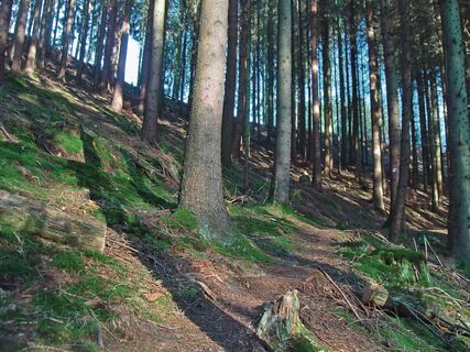 Pfade um die Talsperre