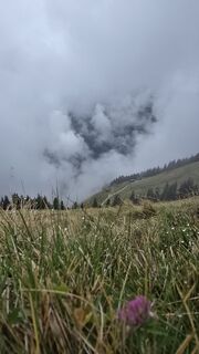Foto von Tanja entlang der Tour