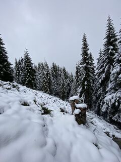 Foto de Sven Krieblin a lo largo del recorrido
