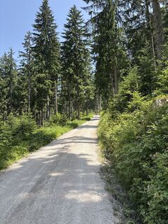 Foto von Heinz Sperl entlang der Tour