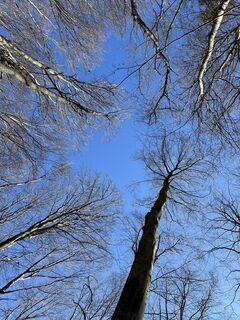 Fotografia z Gerhard Piglmann na trase