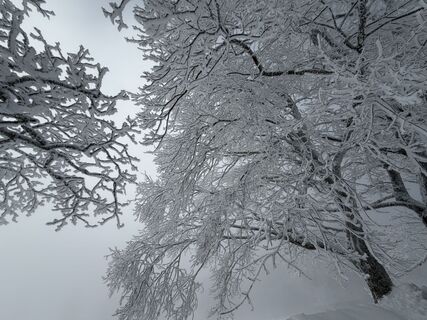 Foto von Jelena Kuehn entlang der Tour