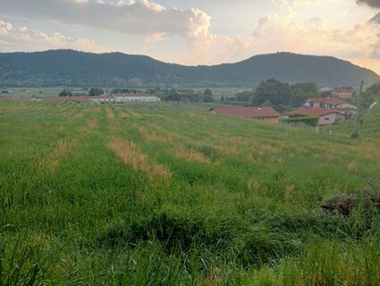 Foto de simone ravasi a lo largo del recorrido