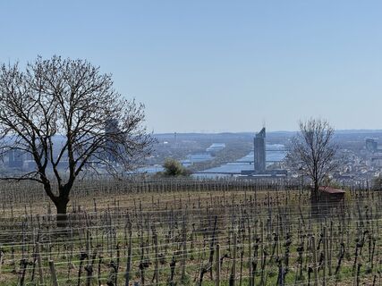 Foto von Hermann Czerweny entlang der Tour