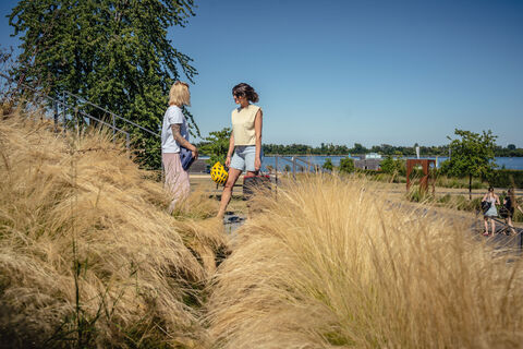 Seepark Zülpich, Blütenachse