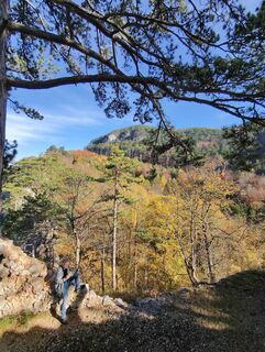 Фото с сайта Heinz Weber in во время экскурсии