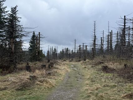 Foto von Norbert Herbig entlang der Tour