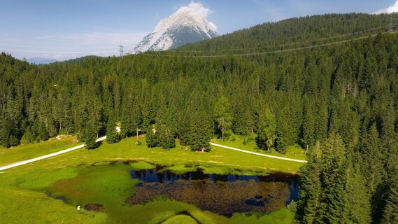 Gewässer bei Wildmoosalm im Sommer - Drohnenaufnahme Richtung Hohe Munde.jpg