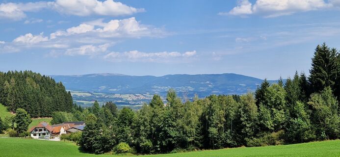 Фото с сайта Utassy Tóth Johanna во время экскурсии