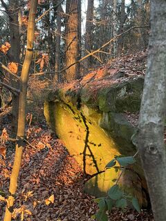 Zdjęcie z Rouven Schwark wzdłuż trasy