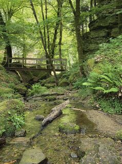 Foto von Wil van Delft entlang der Tour