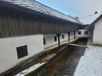 Foto da Karl Etlinger lungo il tour