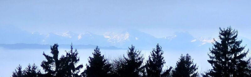 Фото с сайта Thomas Schekira во время экскурсии