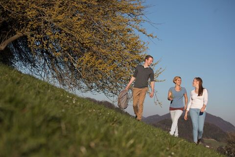 Wandern zur Dirndlblüte