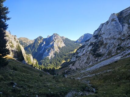 Fotografija s spletne strani hannes.d na poti