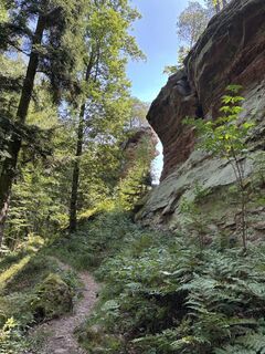 Fotografie z Johannes Frank na trase